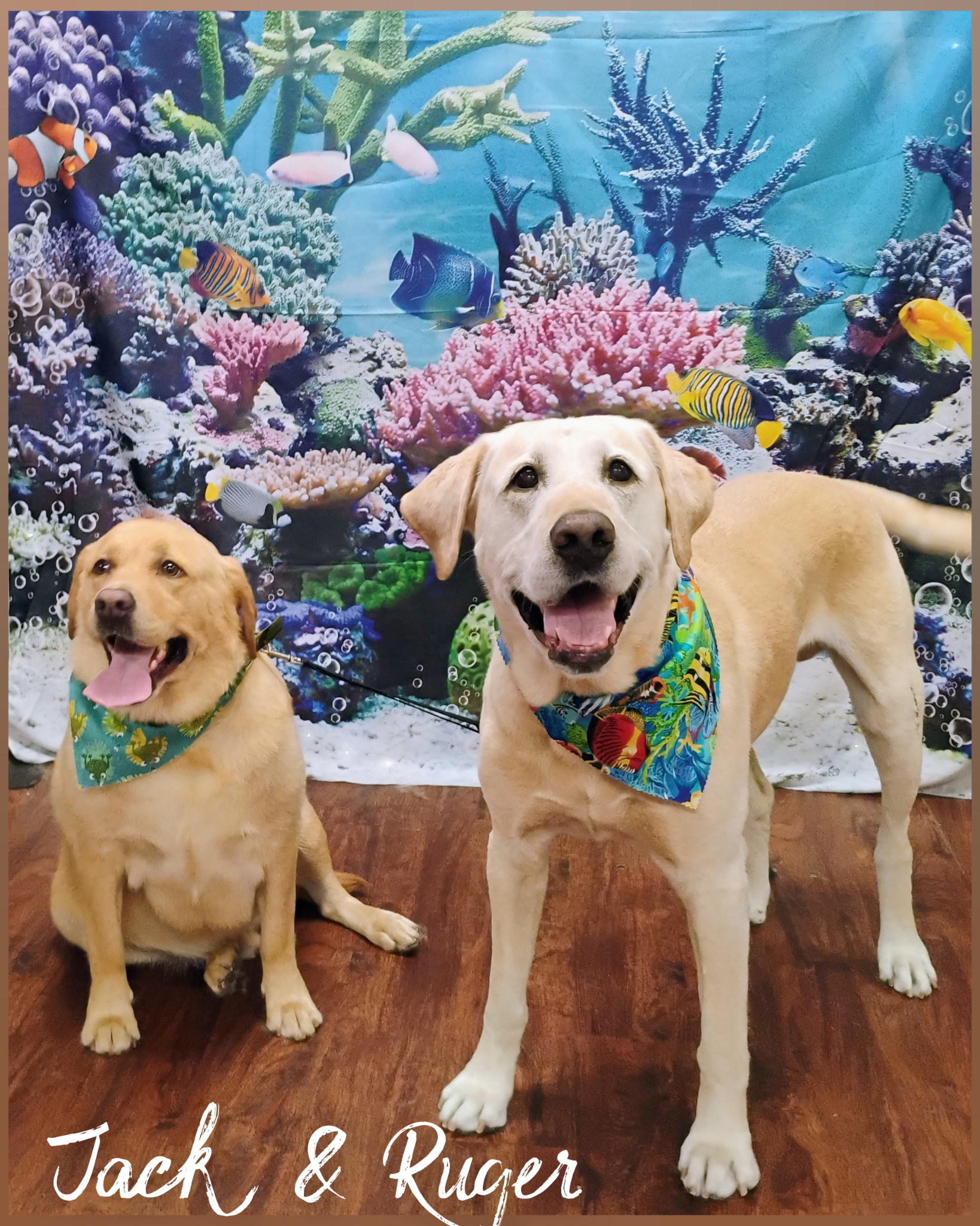 Jack & Ruger