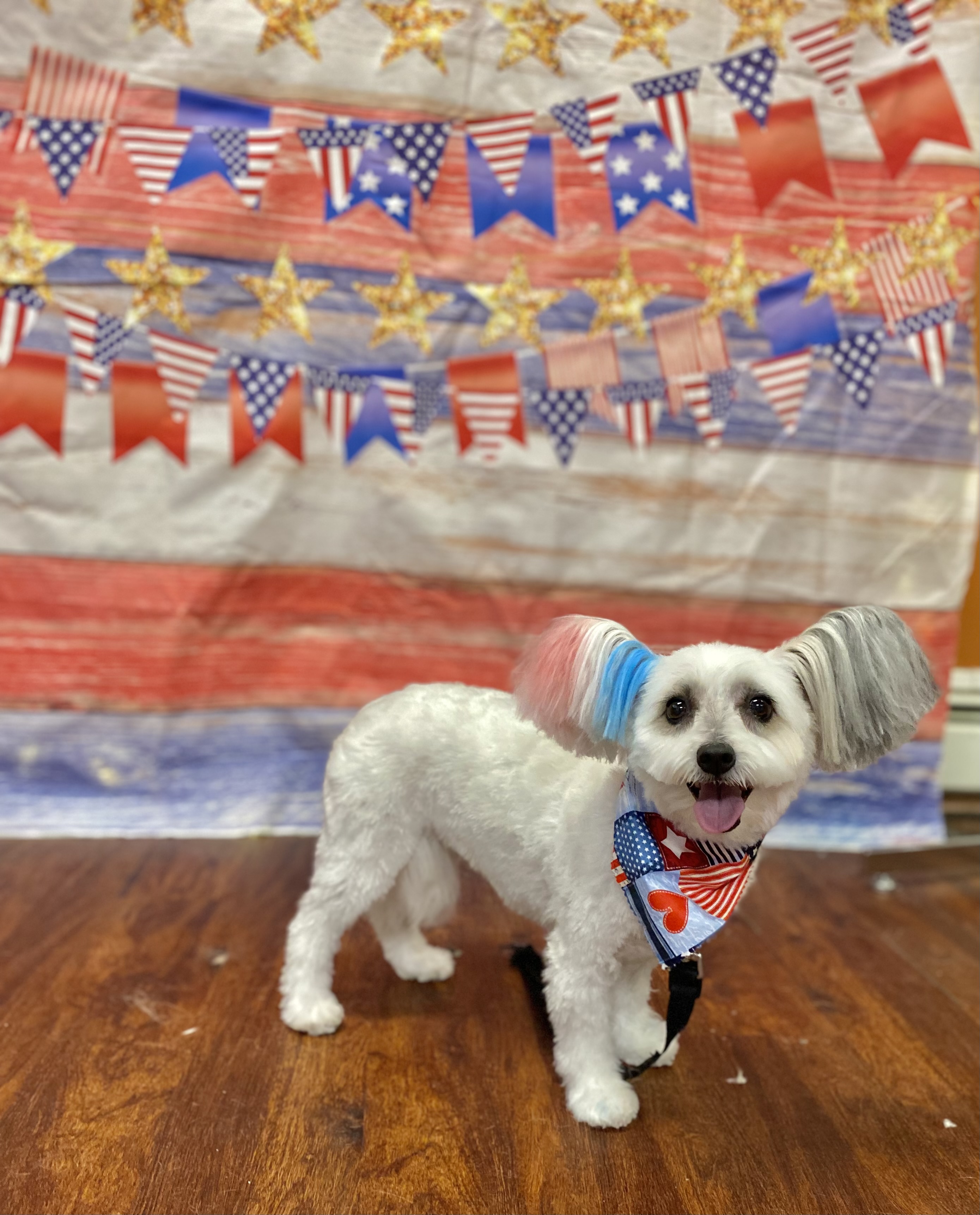 A happy guest at Cutie Pawtooties